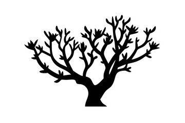 Desert Laurel Tree Silhouette plant nature