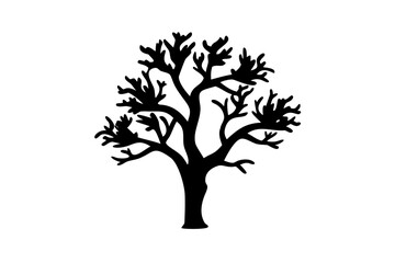 Dwarf ebony tree silhouette on white background dwarf tree