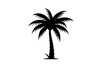 Dwarf Palm Tree Silhouette on White Background plant