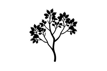 Fototapeta premium Dwarf Rowan Tree Silhouette nature plant