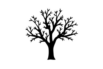 Dwarf Tulip Tree Silhouette Liriodendron tulipifera