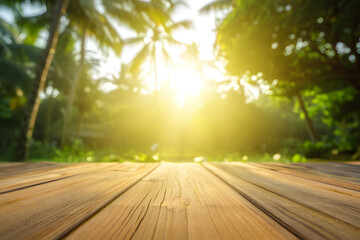 Fototapeta premium sunset in the forest