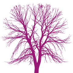 Obraz premium majestic purple tree silhouette isolated on transparent background: vector illustration