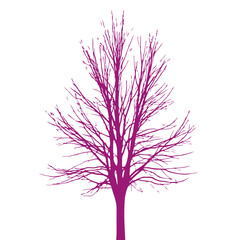 Obraz premium majestic purple tree silhouette, isolated on transparent background: perfect for design projects