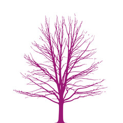 Obraz premium majestic purple silhouette of a leafless tree isolated on transparent background