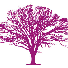 Obraz premium majestic purple tree silhouette: a vector illustration isolated on a transparent background