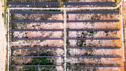 Energia Solar Painéis Fotovoltaicos Sustentabilidade Fazenda Tecnologias Renováveis Sol Instalação Verde Campo Eletricidade Clima Limpo Paisagem Econômica Produção Brilho Céu Azul Infraestrutura