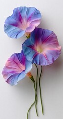 Obraz premium Vibrant flowers in pastel shades