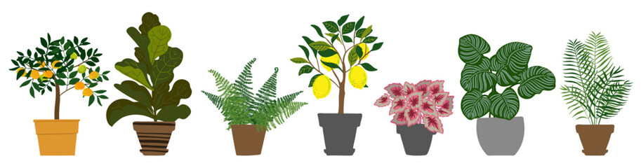 Set of Potted Houseplants – Flat Vector Illustration of Indoor Plants Collection