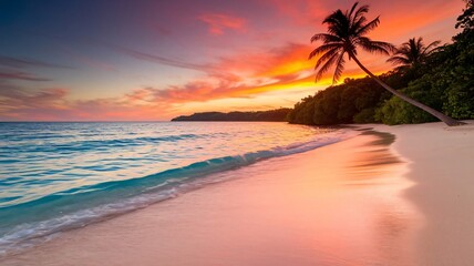 Tropical beach at sunset leaning palms