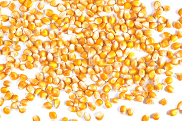 a pile of corn on a white surface