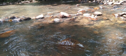 Nature's artistry unfolds in this tranquil stream.  Smooth stones, glistening water, and a lush green backdrop.  So peaceful! 😌