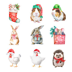 Cute animals in holiday hats and gifts, perfect for festive themed projects. Christmas Pet isolated on white background, Transparent Background