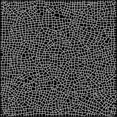 White irregular grid pattern on black background creating a complex mosaic like structure design art