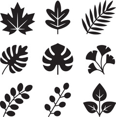 Botanical Leaf Silhouette Icons — Maple, Oak, Fern, Palm, Monstera, and Nature Foliage Vector Set