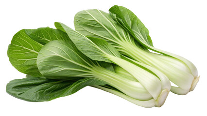 Pak Choy (Bok Choy), isolated transparent background