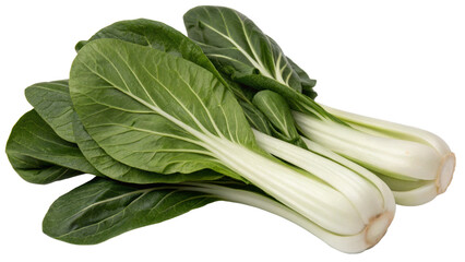Pak Choy (Bok Choy), isolated transparent background