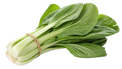 Pak Choy (Bok Choy), isolated transparent background
