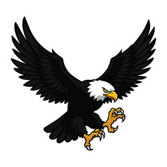 Bald Eagle in Flight with Talons Extended