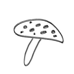 hand drawn sketch of mushroom transparent background