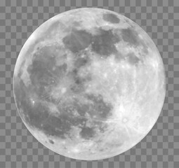 High quality illustration of the full moon with realistic craters and lunar surface texture. Perfect for astronomy projects, night sky themes, and space design.
