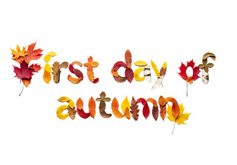 Text made of colorful autumn leaves spelling 'first day of autumn' on a transparent background. The leaves are in various shades of red, orange, and yellow.