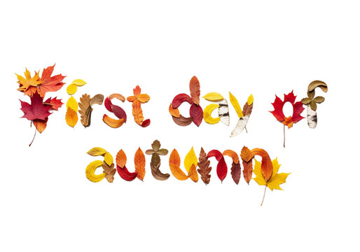 Text made of colorful autumn leaves spelling 'first day of autumn' on a transparent background. The leaves are in various shades of red, orange, and yellow.