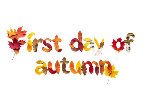 Text made of colorful autumn leaves spelling 'first day of autumn' on a transparent background. The leaves are in various shades of red, orange, and yellow.