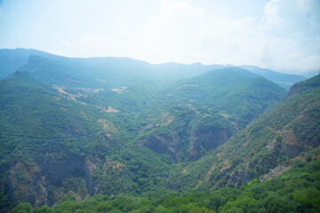 Fototapeta premium Green forest landscape. Beautiful view