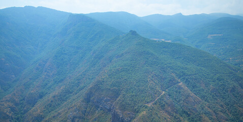 Green forest landscape. Beautiful view