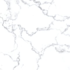 Obraz premium Abstract white marble texture (14)