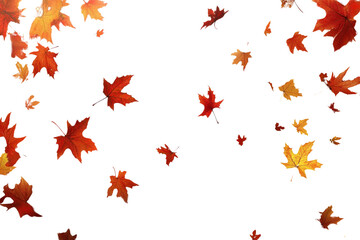 PNG Autumn background with falling leaves nature leaf foliage.