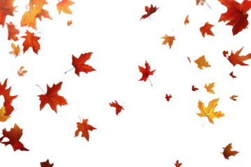 PNG Autumn background with falling leaves nature leaf foliage.