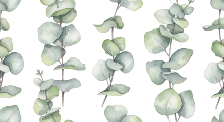 Eucalyptus branches pattern design