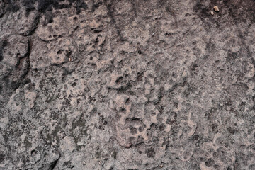 Natural prune stone terrain texture and black stains spot