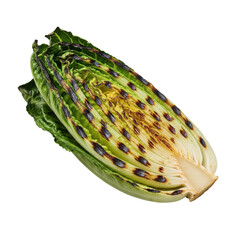 Whole grilled Romaine lettuce head, cut lengthwise, vibrant green with caramelized char marks, on seamless transparent background, high-angle macro shot, shadowless studio lighting, appetizing