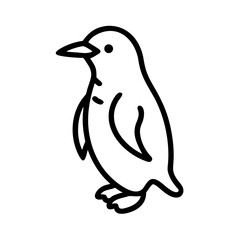 penguin on a white background