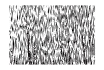 Abstract black and white vertical line pattern with subtle texture and dynamic visual flow