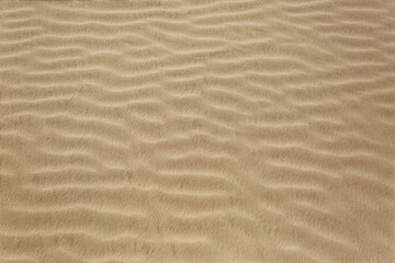 Golden Sand Texture from the Desert