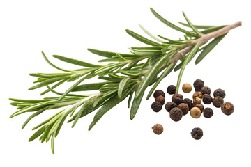 Fresh green organic rosemary leaves and pepper isolated on white background PNG. AI GENERATED.