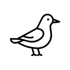 Illustration of a cute little bird vector drawing for ornithology and nature lovers design and artwork use
