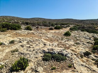 Rocky landscape and sparse vegetation covering the hills of Malta © Michael