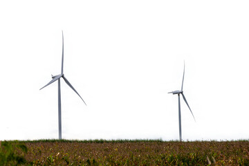 Wind Turbines in a corn field on a white background.
