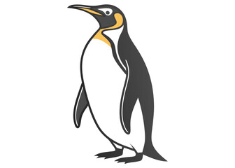 Fototapeta premium King Penguin Illustration Gray Black White Yellow Antarctic Bird Wildlife Animal Graphic Design vector