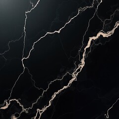 Premium Black Granite Elegance