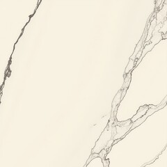 Elegant Natural Granite Surface