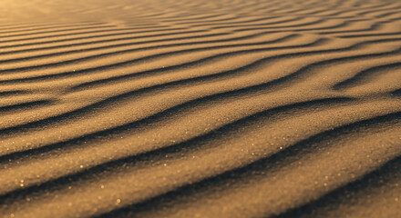Golden sand dunes with wind-sculpted ripples creating a natural abstract pattern in the desert landscape at sunset.
