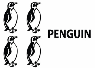 Obraz premium Four Penguin Illustrations and the Word Penguin on White Background black bird