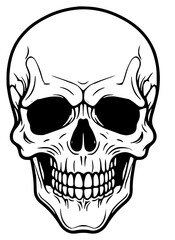 Obraz premium Skull isolated on white background