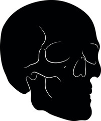 Black skull silhouette profile